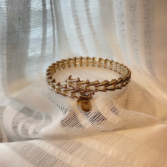 Alex and Ani Gypsy 66 Rafaelian Silver Bangle VW112RS - Picture 4 of 4